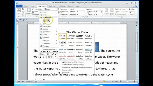 Making a Rebus in Word