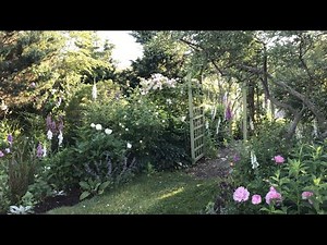 Tour a Cottage Garden Bursting With Blooms