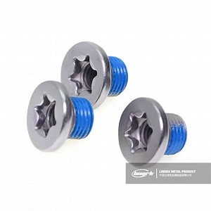 [Hot Item] 12.9 Zinc-Nickel Plating Torx Flange Internal and External Thread Nylock Patch Screws