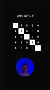 PyTorch Tensor Functions Visualised #coding #artificialintelligence #ai #machinelearning