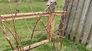 8K views · 131 reactions | Welcome to our “Discovery at home” video...