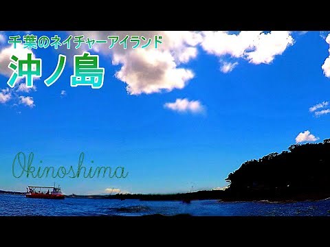 【千葉県】沖ノ島でシュノーケリング