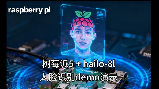 树莓派5+hailo-8L人脸识别demo演示