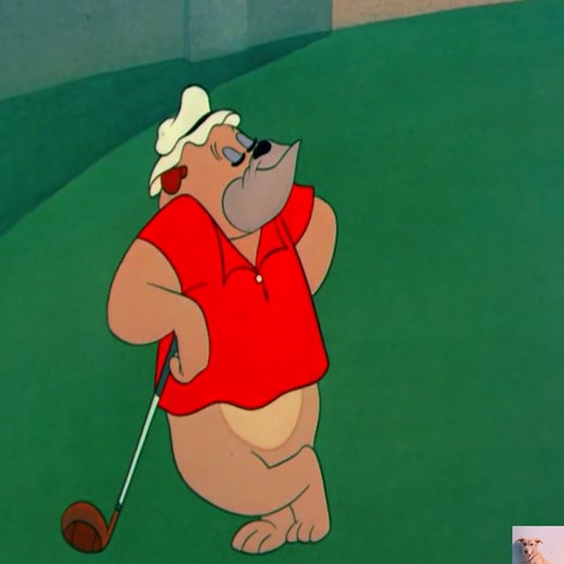 Cartoon Videos on Reels