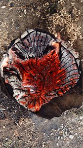 9.4M views · 8.9K reactions | Easy way to remove tree stump | DeMilked | Facebook