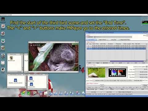 How to use VideoClipper on AmigaOS