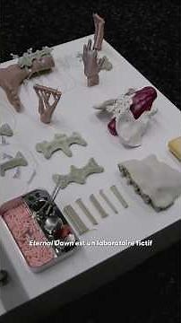 Eternal Dawn / Alexander Schubert, Decoder Ensemble