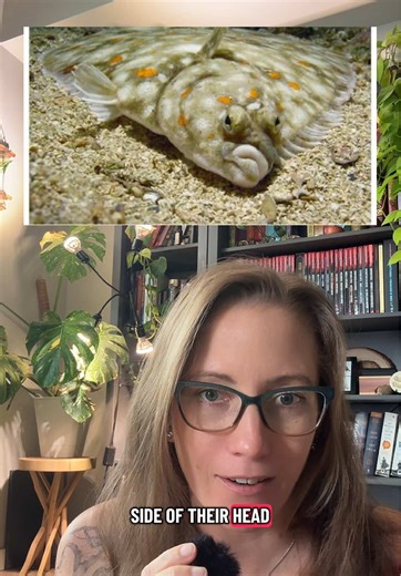 The Surprising Evolution of Flatfish Eyes