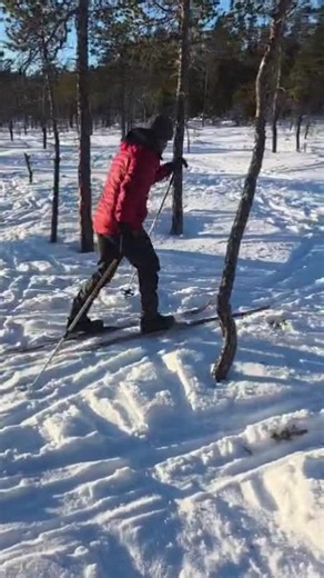 Exploring Survival Skills in Sweden