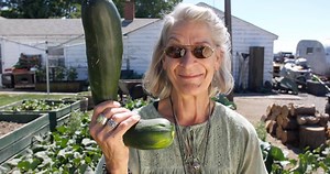 50K views · 733 reactions | Keto, Vegan, Carnivore? Which Diet is the Best? These FOOD EXPERTS Weigh In... | Buff Dudes | Facebook