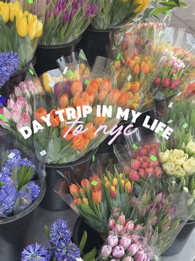 Spontaneous Day Trip to NYC with Friends