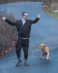 The best animal videos from the internet! 🤣 | Animal Antics