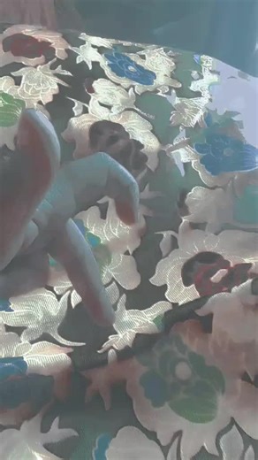 jan jee (@janjee998)’s videos with original sound - Mirchii 🔥❤