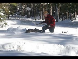 What a Snowdog Can and Can't Do-Martin's Old Off Grid Log Cabin#185A