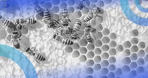 What Is Apache Hive? (Definition, Benefits, Challenges) | Built In