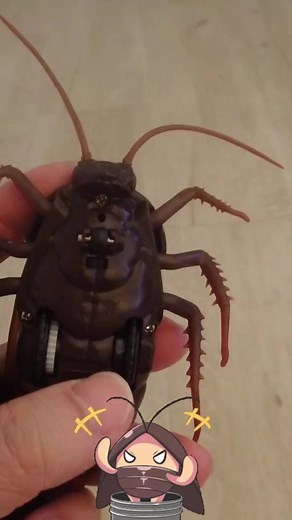1.2K views | GIANT COCKROACH REMOTE CONTROL TOY PRANK 巨型蟑螂遥控玩具恶作剧  #funnytoys #toys #funtoys #prank #fyp #toy #toptrending #interesting #trickytoy #cockroch #kidstoys #giantroach #remotecontroltoy #蟑螂遥控玩具 #巨型蟑螂 #蟑螂 #蟑螂玩具 | Bibipew | Facebook