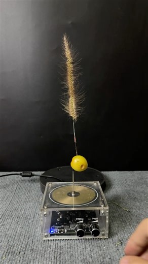Tesla coil + plants