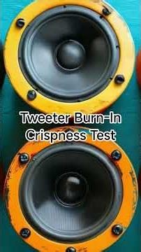 Tweeter Burn-In & High-Frequency Crispness Test