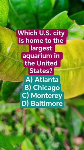 Which U.S. city is home to the largest aquarium in the United States?