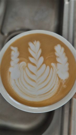 3 head rosetta attempt day 76