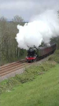 Flying Scotsman ROARS through the RURAL Cornish Countryside! #shorts #steam #flyingscotsman