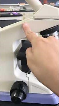 光学顕微鏡の各部の名称 高校生物基礎