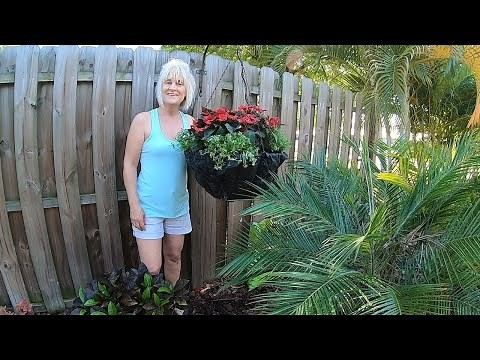 How to make a cheap hanging flower basket