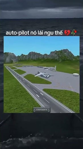 auto-pilot nó lái ngu thế 💔🥀✈️#tainanmaybay#turbopropflightsimulator