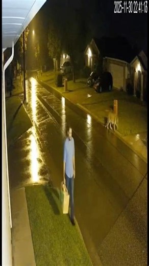 Leopard Quietly Follows a Man Walking Home 🐆 #cctv