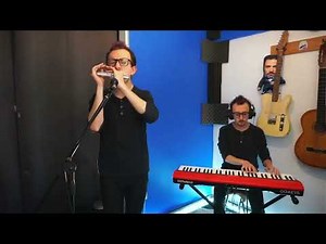 East top 24 hole professional tremolo harmonica performance