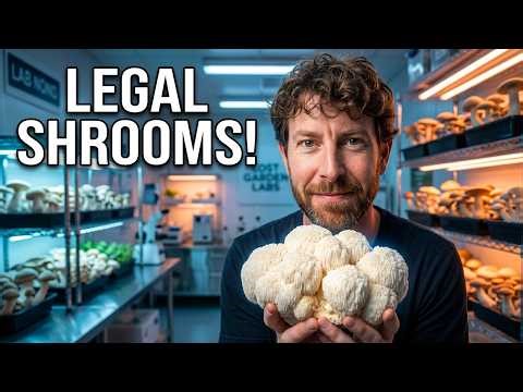 Lost Garden Labs: Legal Mushrooms with Josh Walker