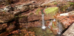 Small streams and wetlands are key parts of river networks – here’s why they need protection