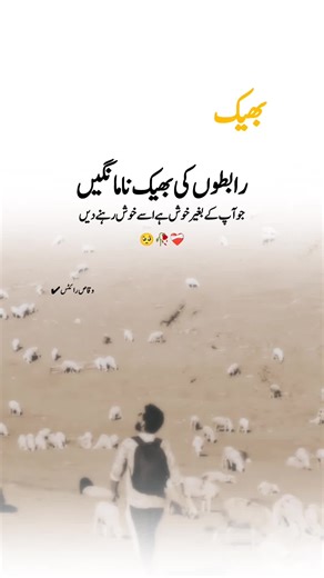 Learn English with Alpha Wolf and Aiman Waqas