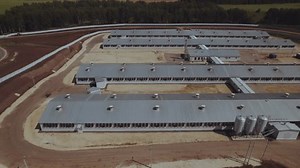 Aerial Photography Pigsties Aerial Photography Pig: стоковое видео (без лицензионных платежей), 3398828787 | Shutterstock