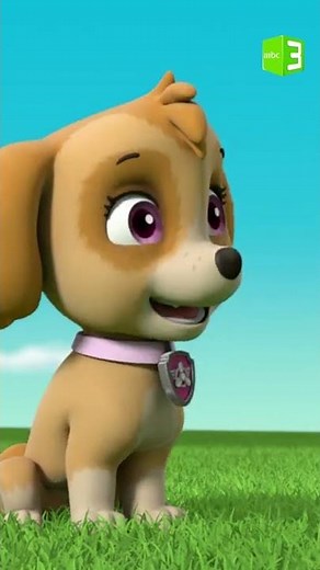 الجراء سعيدة بلعب الترامبولين