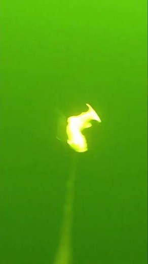 December 2nd, Waterwolf evaluation from November 25th, Part 22