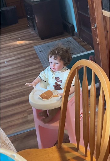 Exploring the World of Reborn Baby Dolls