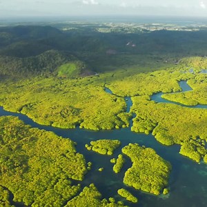 12 reactions | 5 Razões para proteger a Amazônia: ➡A Amazônia é a...