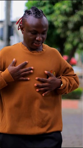 Exploring the Visual Artistry of TDD Studio