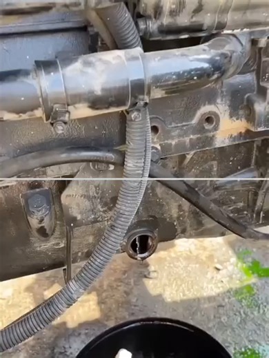 Video của ideas_fox (@ideas_fox) với bản nhạc Through the Veil of Rain - LURI TRAN