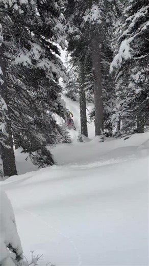 A lot of badass sled builds coming out of the shop this year. This is the most recent one just wrapped up this week @arcticfxgraphics @carbonsled @cheetah_snow @ohlinspowersports @diamond_s_mfg @chrisburandt211 track @alternativeimpact _________________________________ If you are interested in having a 9R or Boost built out send me an email to get on the waitlist for next season! 🎥 @chasemasson | Proven Progression