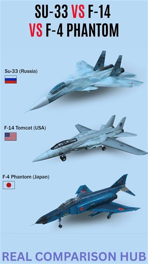Su 33 vs F 14 vs F 4 Phantom The Final Stand of the Fleet Defenders 2026 ✈️