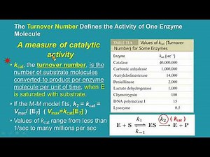 生化上課線上課程-Enzymes_Basic Concepts and Kinetics-酵素_基本概念和動力學-Part2
