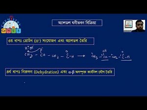 Aldol condensation Reaction ।। Mechanism ।। Cross Aldol ।। HSC Organic Chemistry