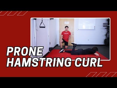 Prone Hamstring Curl | Cable Machine Exercise