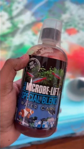 Never Have Cloudy Fish Tank Water Again! 🚫💨#aquarium #api #monsterfish #shorts #fishtank