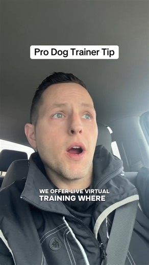 Pro Trainer Tip for Owners of Bad Dogs #dogtraining #dogtrainer #positivedogtraining #forcefreedogtraining #dogtrainingtips #dogtraininglife #dogbehavior #dogobedience #obediencetraining #trainyourdog #rewardbasedtraining #dogtrainersofinstagram #dogtrainingjourney #dogtrainingadvice #boardandtrain #BestBuddyDogTrainer #MarylandDogTrainer #SouthernMarylandDogs #dogtrainingacademy #inhomeobediencetraining #dogtrainingprogram #dogtrainingclass #dogtrainers #dogtrainingvideos #dogtrainingcommunity