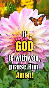 1.2K views · 80 reactions | #scripturestudy #powerofprayer #seekinggod #spiritualrenewal | Bible Daily | Facebook