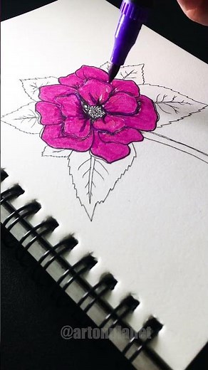 Top Artist Reveals Best Techniques for Stunning Begonia Drawings with Alcohol Markers