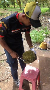 959 reactions · 15 shares | Durian Premiem #DamakKing ‘Kita review durian damak king dari jerantut’ isi yang mantap…. | Muhammad Nizam Zakaria | Facebook